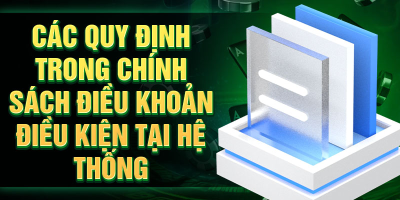 Những quy định trong chính sách điều khoản điều kiện tại hệ thống