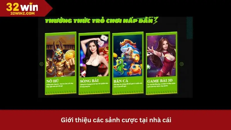 những sảnh cá độ hấp dẫn được yêu thích tại nhà cái