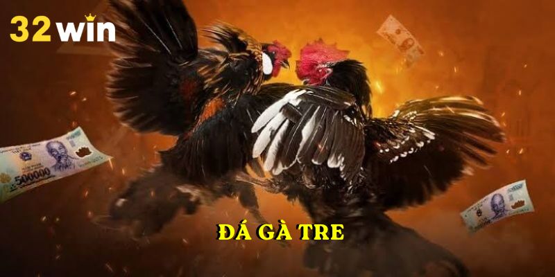 Đá Gà Tre 32WIN – Luật Thi Đấu Giữa Các Chiến Kê Tham Gia